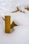 Closeup View of Measuring Winter Snowfall with a Yardstick