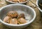 Closeup view newly catched crabs in a bowl