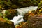 Closeup view of Oirase Stream flow rapidly passing green mossy rocks covered with colorful foliage of autumn season