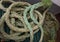 Closeup view of an old green frayed boat rope. Nautical background.