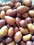 A closeup view of a quantity of jujubes fruits at a rional market stall