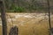 Closeup View of the Raging Rapids on the Maury River