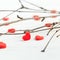 Closeup view of red sweet heart with branches, love and health concept