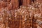 Closeup view of the rock formations inside Bryce Canyon