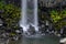 Closeup view of Svartifoss waterfall with basalt stones and columns