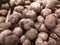 Closeup view of taro vegetable pile for sale in market. Sweet taro root