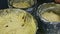 Closeup view of three metal baking forms full with soft yeast dough with raisins