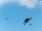 Closeup view to the sky divers and flying bird in the blue sky. Extreme parachute sport activity in Skydive Dubai