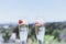 Closeup view of Two beautiful champagne glasses with strawberry on sunny terrace outdoor. Summer day outside of the city.