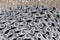 Closeup View of Used Dirty Greasy Oiled Bicycle Chain As A Part of Metal Bicycle Equipment On Stony Background With Contrast