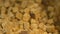 Closeup view of wheat crisp crackers on plate on table in kitchen irrl.