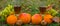 Closeup vine glass among heap of orange and fruits