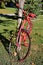 Closeup of a vintage bike painted red secured to a tree trunk