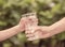 Closeup vintage woman hand giving glass of fresh water to child