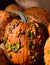 Closeup of 'Warty Goblin' pumpkins, Cucurbita pepo