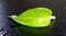 Closeup of water droplets on golden pothos house plant leaf, dar