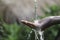 Closeup water flow to hand of women for nature concept on the garden background