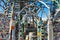 Closeup of Watts Towers, South Los Angeles