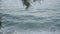 Closeup waves of Mediterranean sea rolling on shore and green branch of tree hanging at front. Close-up foamy water