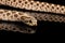 Closeup Western Hognose Snake, isolated on black background