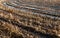 Closeup of a wet stubble field in autumn