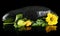 Closeup wet zucchini with flower on black background