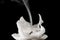 Closeup of white blown out and smoking candle