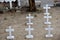 Closeup of white cross on graves in cemetery.