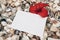 Closeup of white and gray pebble stones and sea shells on beach. Blank greeting card, invitation mockup with hibiscus