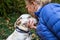 Closeup of white lab mix dog, collar and dog tags, receiving a kiss from a blond woman