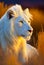 Closeup of a White Lion in a Field