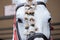 Closeup of a white Percheron horse in a bridle with a mosquero