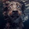 Closeup wide angle underwater photo upshot of a shaggy dark dog underwater