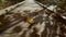 closeup wide angle yellow dried maple leaves lying on wooden suspended bridge