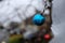 Closeup wide shot of a small christmas ornament hung on a tree on the street in front of a family house. Residents of Cambridge