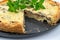 Closeup wide studio shot of freshly baked yellow French salty cake, or quiche, with mushrooms and green mint, on a black design