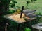 Closeup of wild birds, doves and bright yellow finches, eating seed from a metal spiked tray in the garden