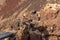 Closeup of wild squirrels in the Crater of the Calderon Hondo volcano near Corralejo,