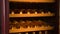 Closeup Wine Bottles Stored in Cabinet Regulating Air Humidity