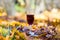 Closeup wine glass stay among vine and dry leaves,