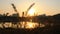 Closeup of withered setaria viridis by lake at sunset, blur background