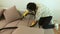 Closeup of woman cleaning sofa with yellow vacuum cleaner