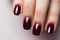 Closeup woman hand with burgundy red nail polish on fingernails. Burgundy nail manicure with gel polish at luxury beauty salon.