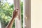 Closeup of woman hand opens window for airing in the modern interior. Outside the greenery