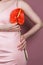 Closeup of woman in pastel pink dress holding bright red bloom peace lilly