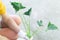 Closeup woman plant a Alocasia Cucullata in the garden, selective focus