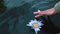 Closeup of a woman playing with a flower in a dam from above. Person moving a plant with their hands at a lake. Someone