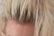 Closeup of a woman`s blond head with parted hair regrown roots. Haircare, making new hairdo, hair therapy concept