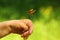 Closeup of woman`s hand and a chafer june bug