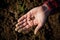 Closeup of woman`s hand with earthworm in sunny garden